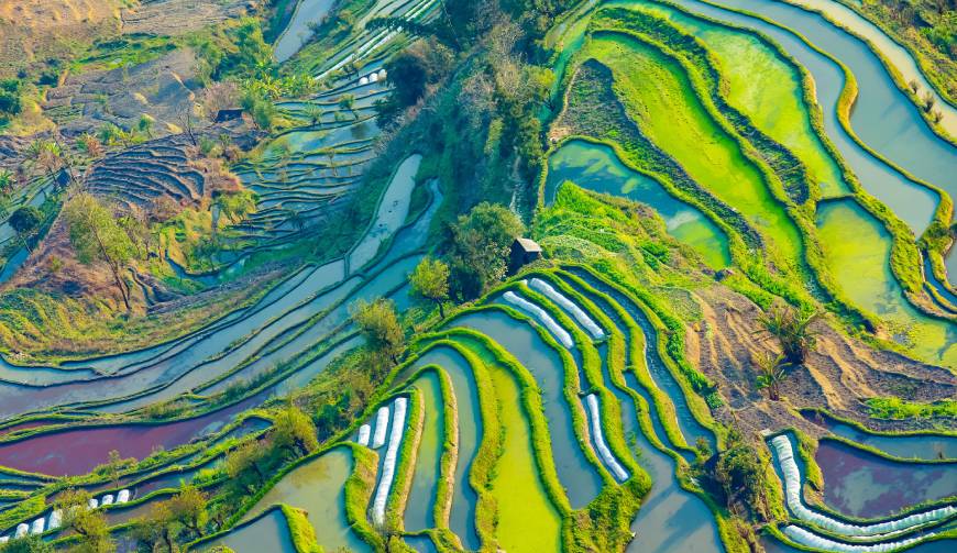 走进湛江TVC拍摄：解锁本地化场景与创意镜头的完美融合